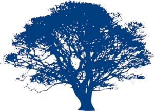 Volpp/Fulp Family Naming Patterns