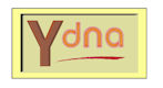 yDNA Connection Chart 