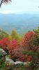 2015 Reunion Day Trip to Cades Cove in Smoky Mountains